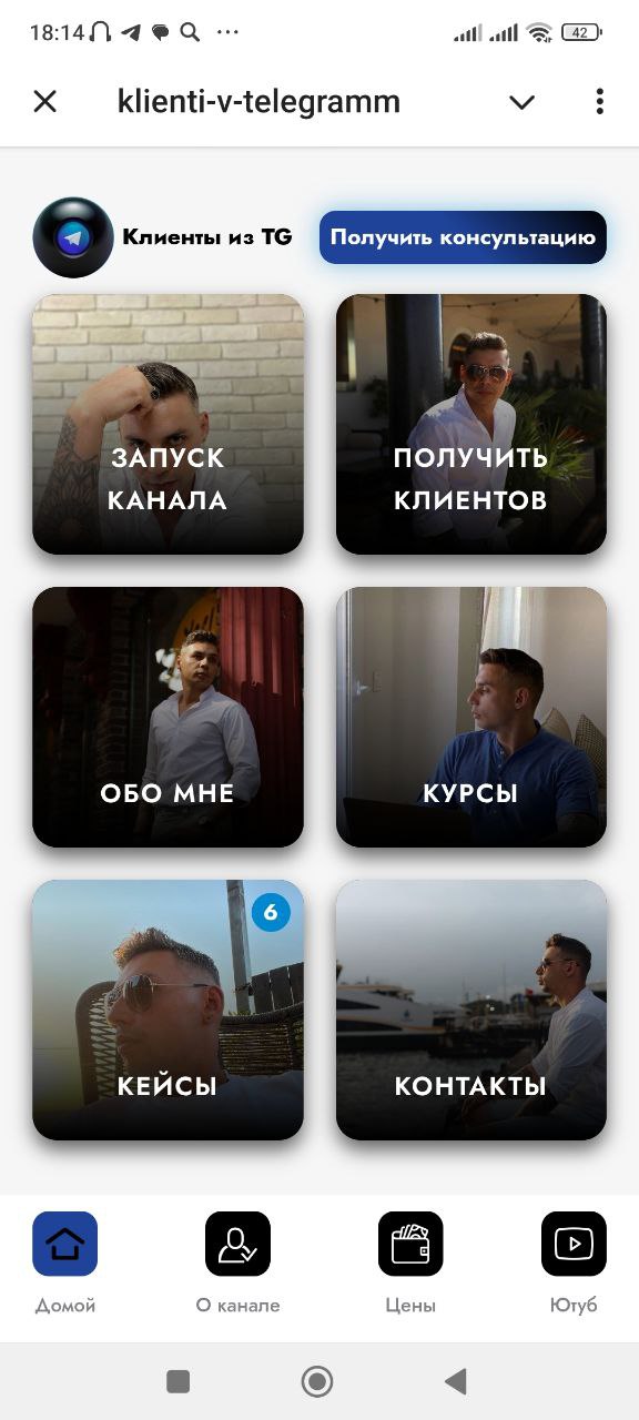 Брендовое приложение для проверяющей компании